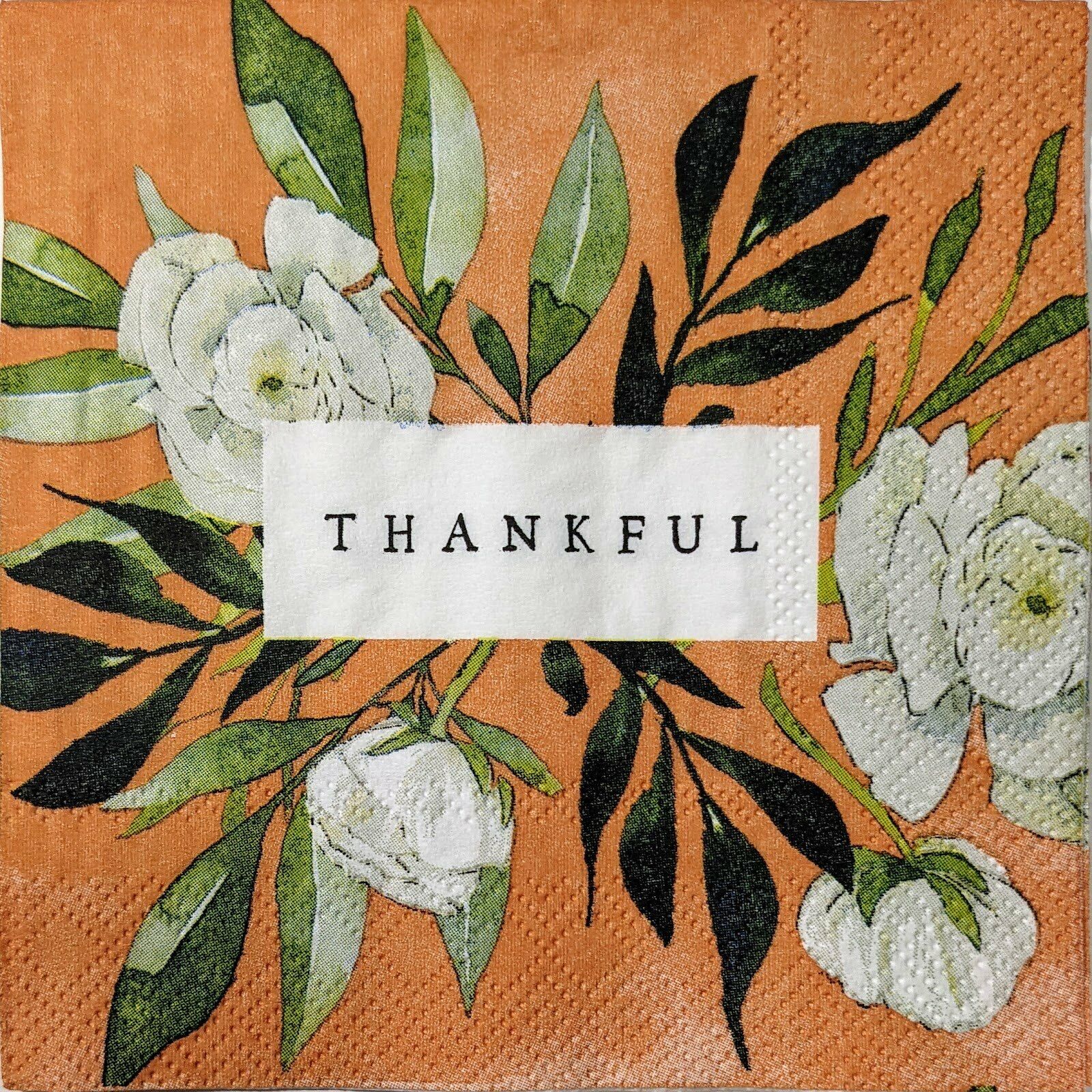TWO Individual Paper Cocktail Decoupage Napkins - 1595 Thankful Flowers