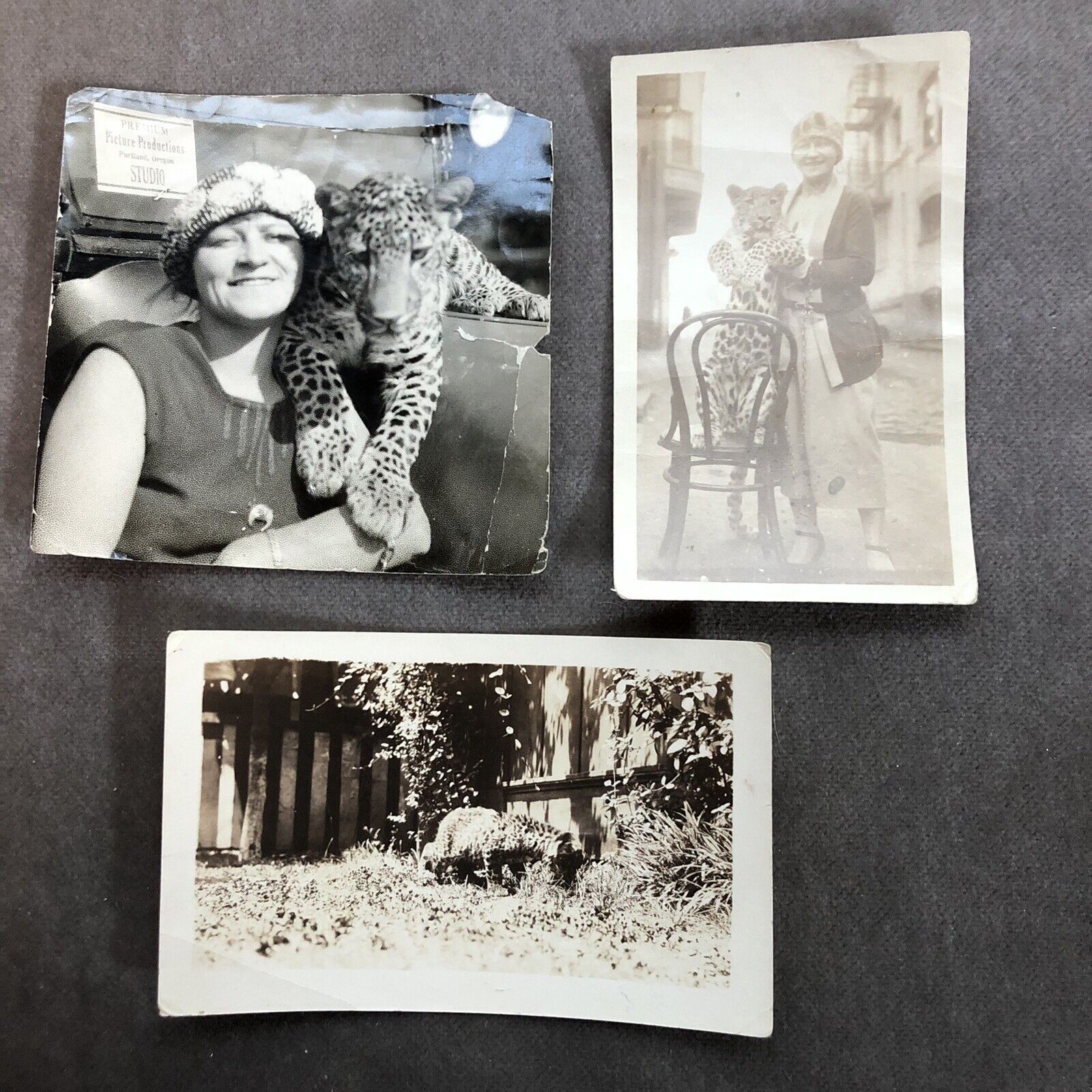 Lot Of 3 antique photos Depicting A Woman With Her Pet leopard 1924 Exotic Pets