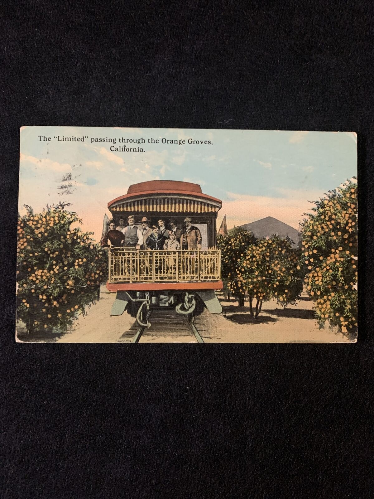 Vintage Postcard c1913 The Limited Passing Through Orange Groves California  CA