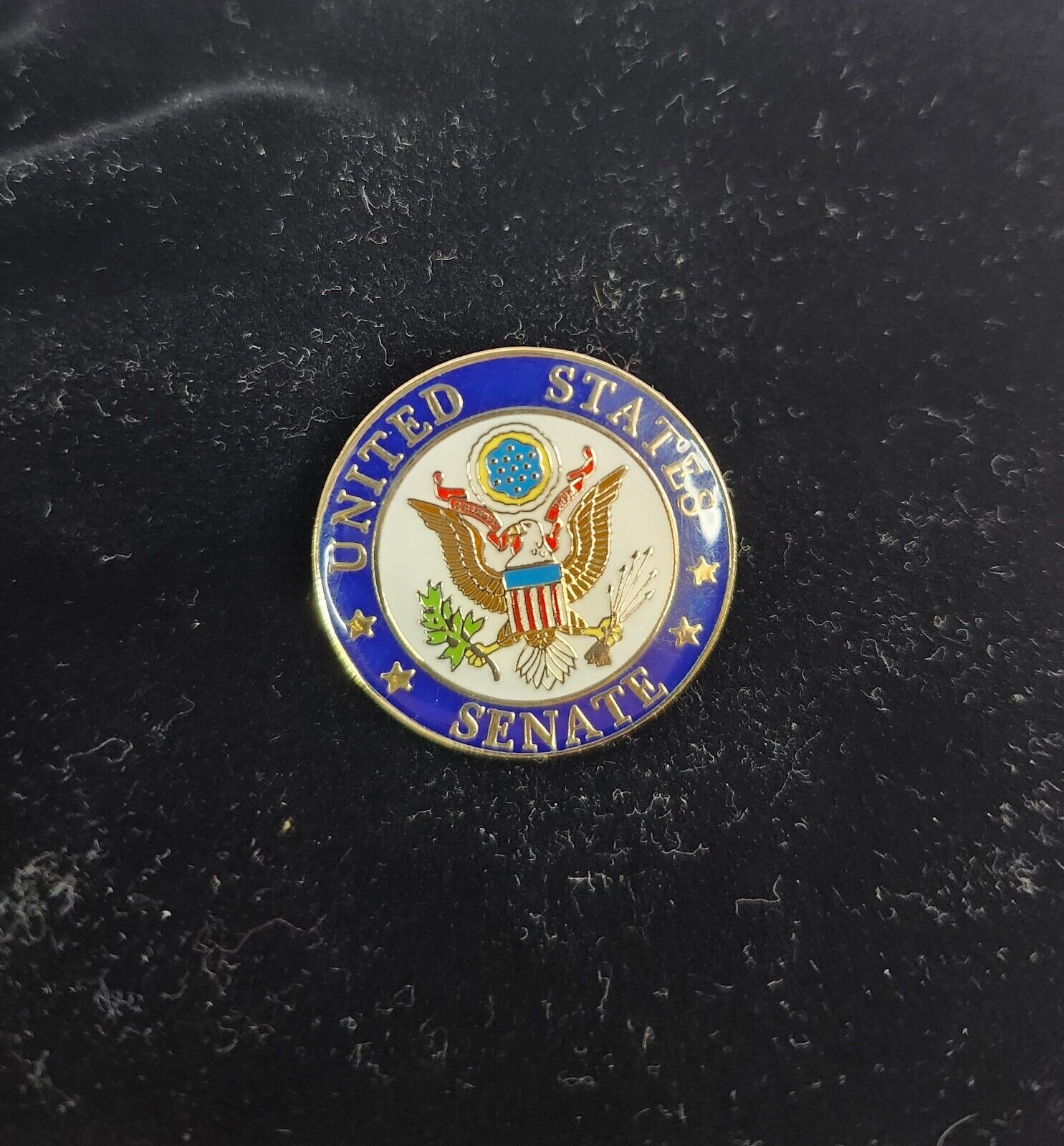 United States Senate Lapel Pin Eagle Blue Gold Pinmart