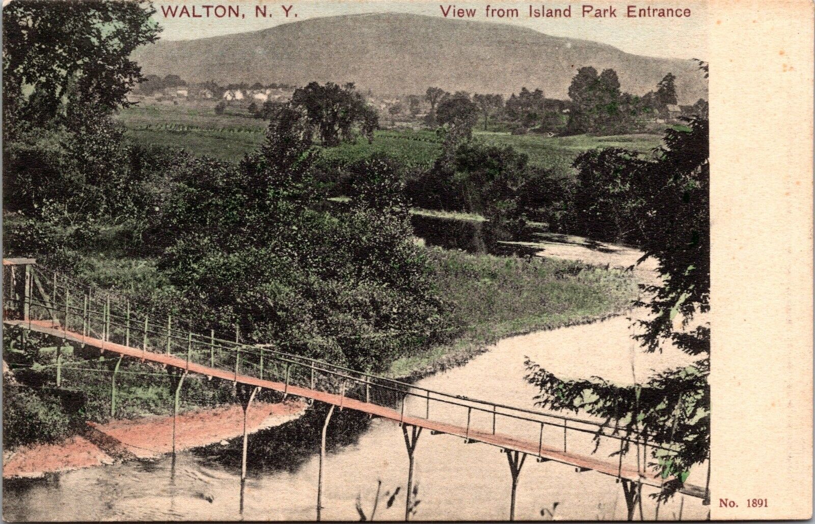 Postcard~Walton New York~View From Island Park Entrance~c1906~Unposted