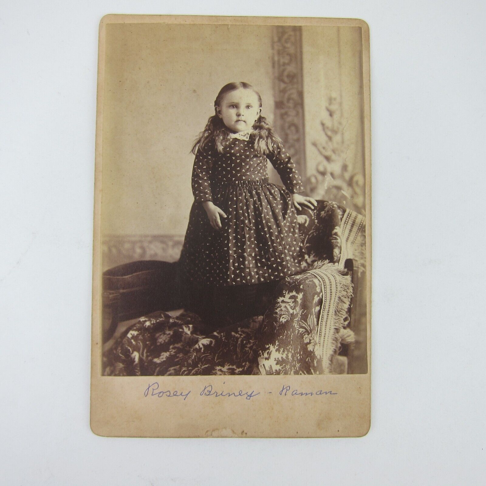 Cabinet Card Photograph Girl Pattern Dress Rosey Briney Raman Darke Ohio Antique