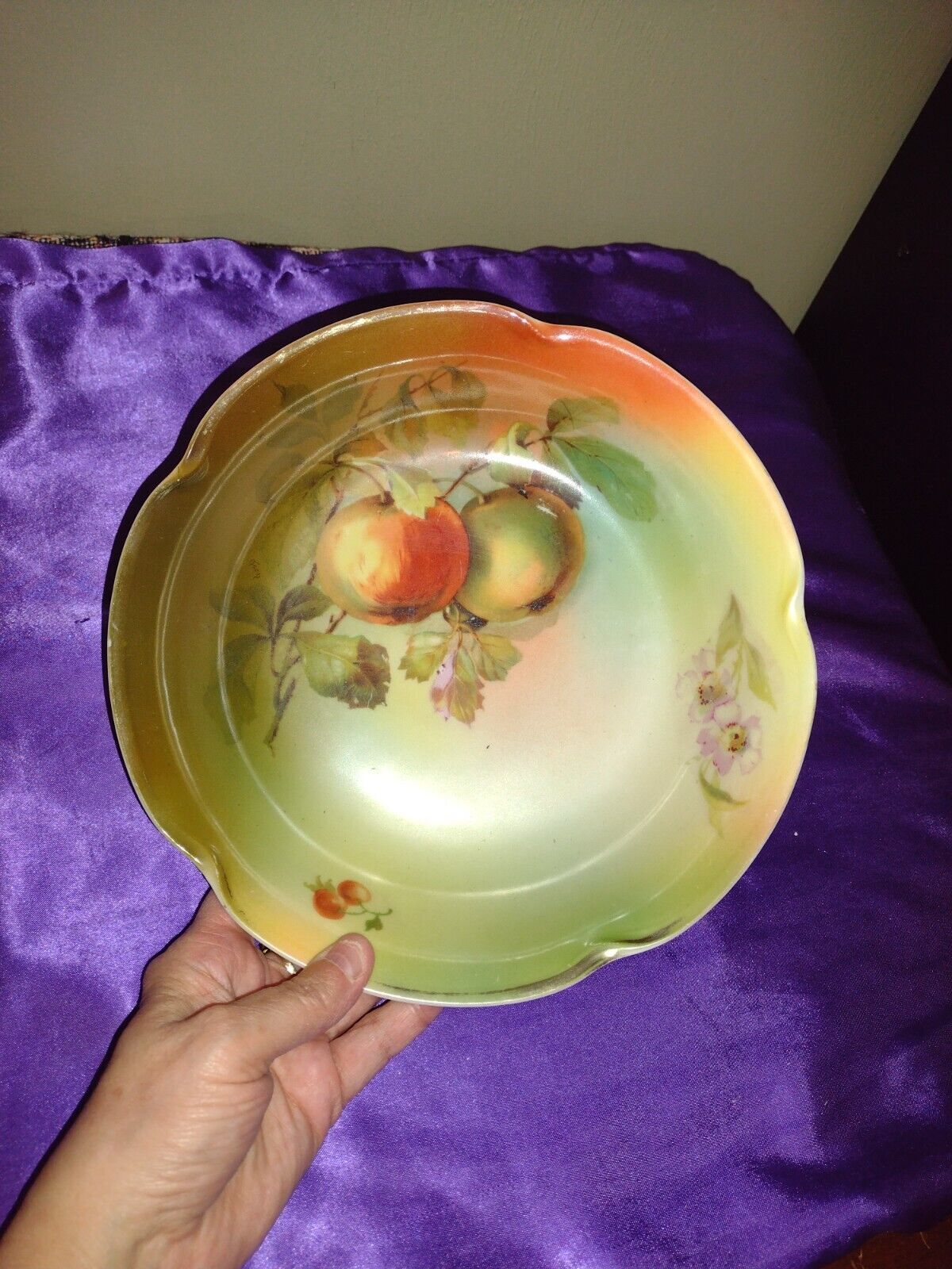 vintage Hand Painted fruits Porcelain German  Bavarian Plate