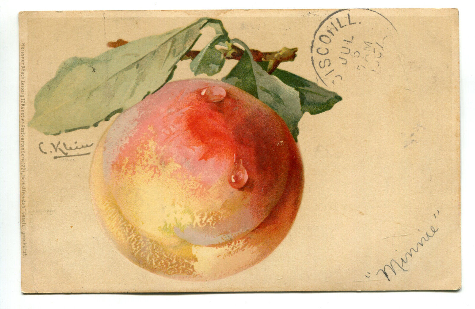 Peach by Artist C. Klein Vintage Postcard