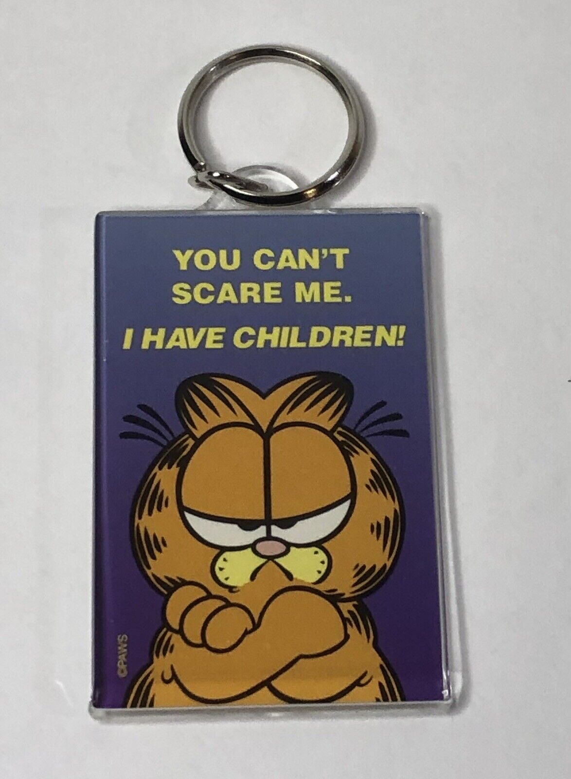 Vintage PAWS Garfield Funny Keychain You Can’t Scare Me. I Have Children
