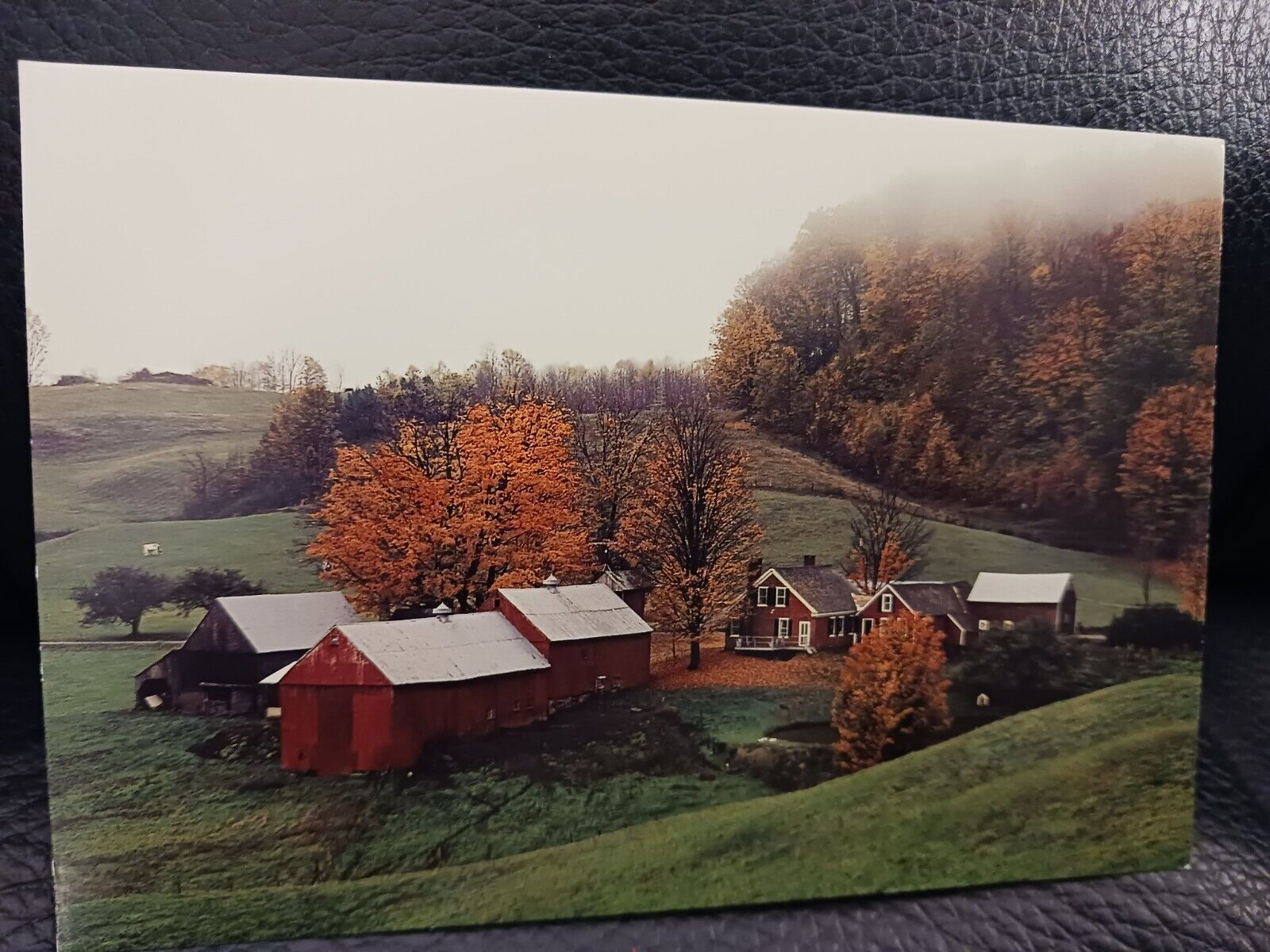 Vintage, Vermont Postcard Autumn Foliage As Town & Country Collection, Choice 