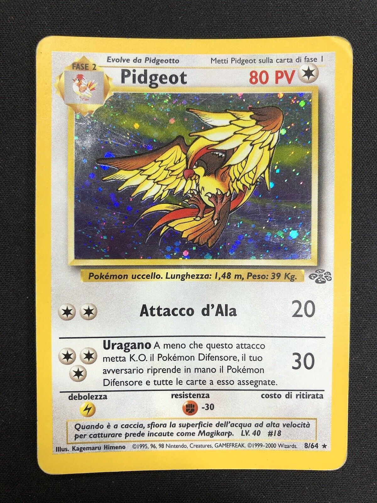 Pokemon Pidgeot 8/64 Jungle Rare Holo Unlimited Wizards ITA Vintage Card
