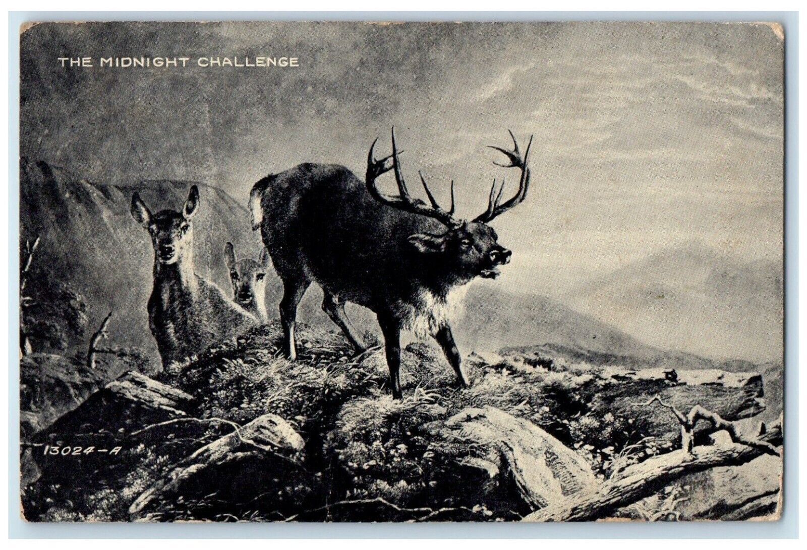 1910 The Midnight Challenge Deer Buck Hurford Ohio OH Posted Antique Postcard