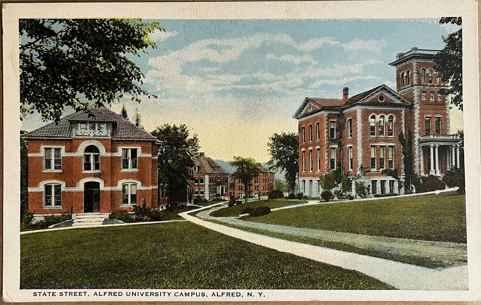 Alfred New York University Campus State Street View Vintage Postcard c1920