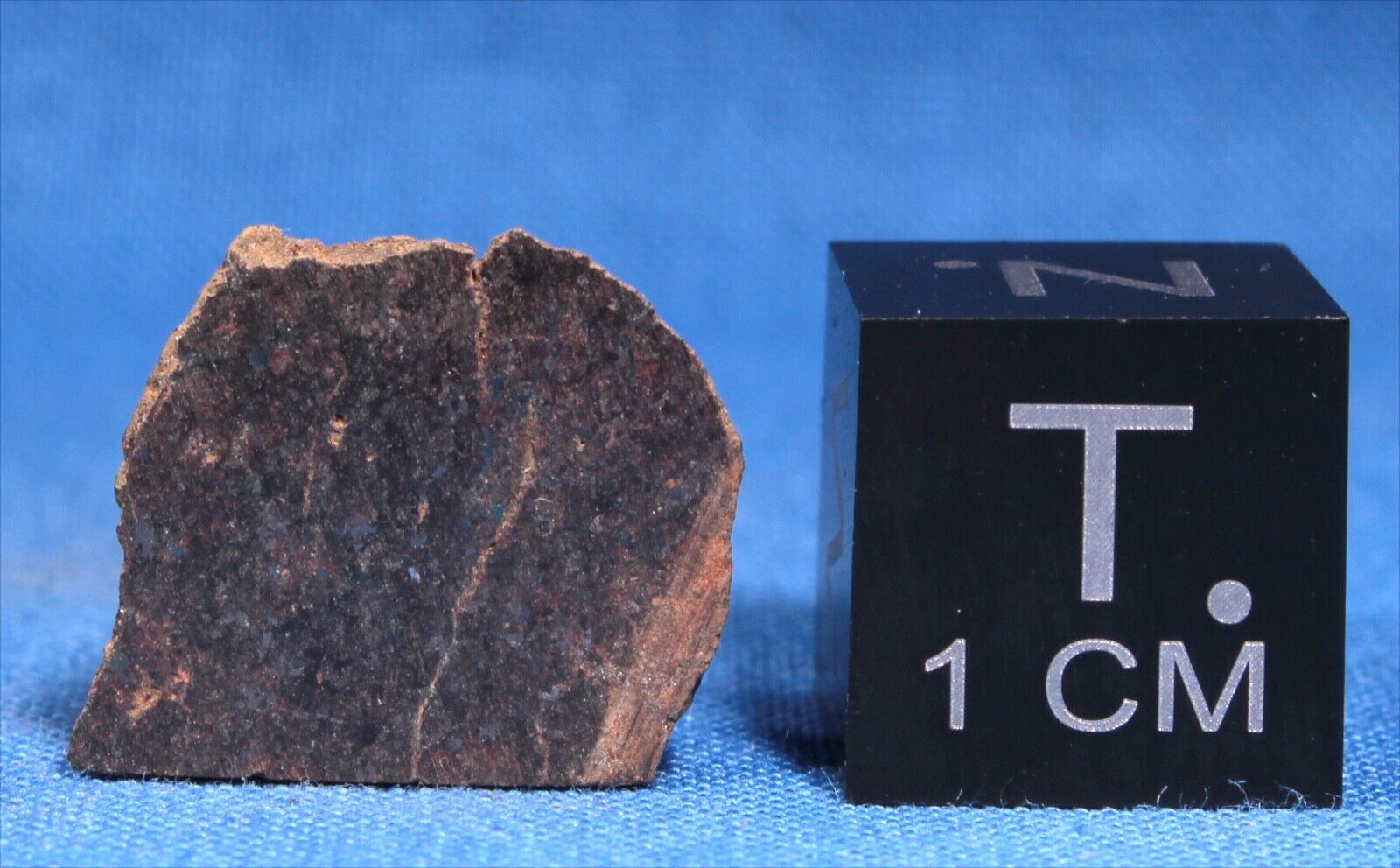 1.68 gram Tryon Meteorite Slice - L6 Chondrite - Found 1934 in Nebraska