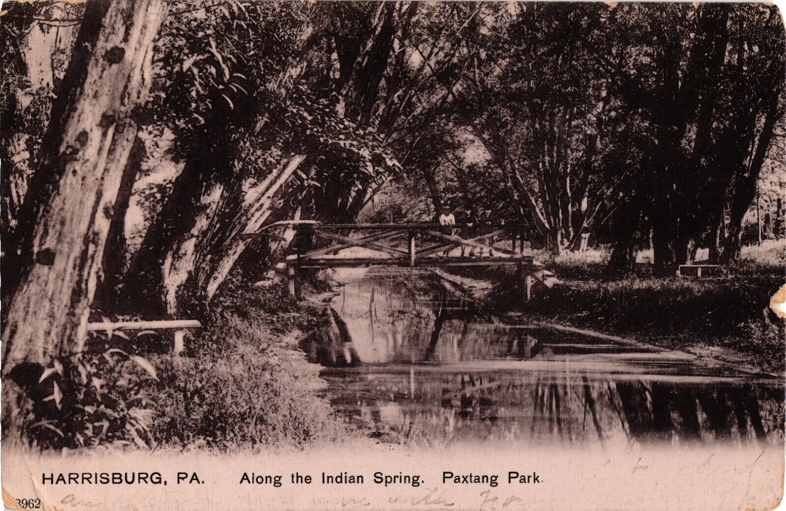 1907 Harrisburg Pennsylvania ALONG THE INDIAN SPRING Paxtang Park Postcard