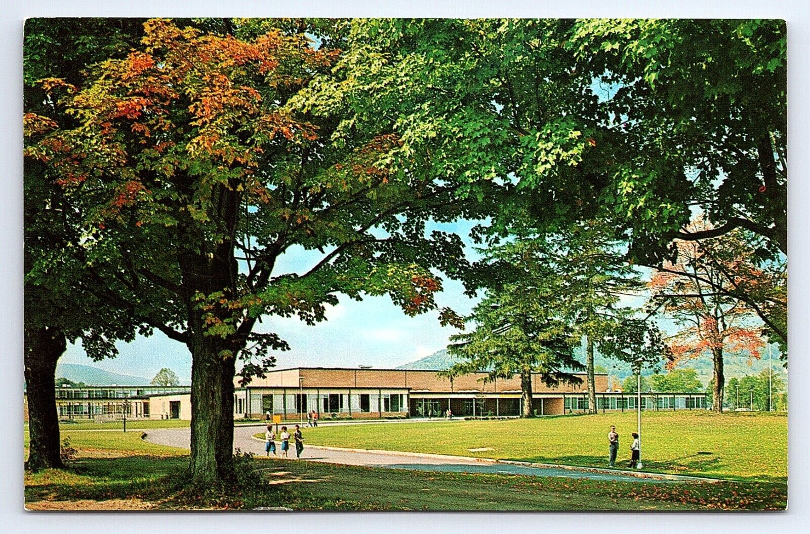 Postcard Walton Central School in Walton New York NY