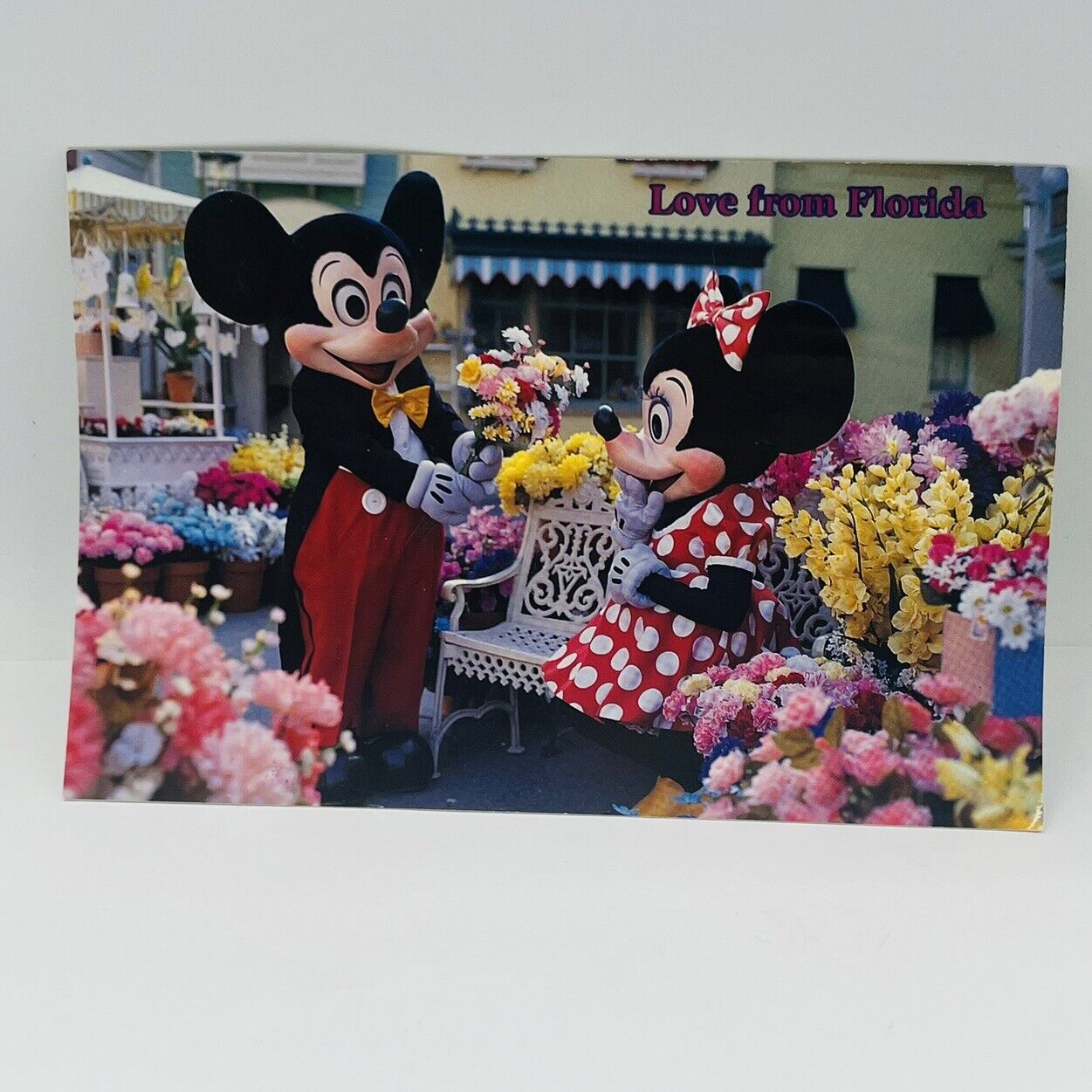 Vintage Walt Disney World Love From Disney Minnie And Mickey Mouse Postcard