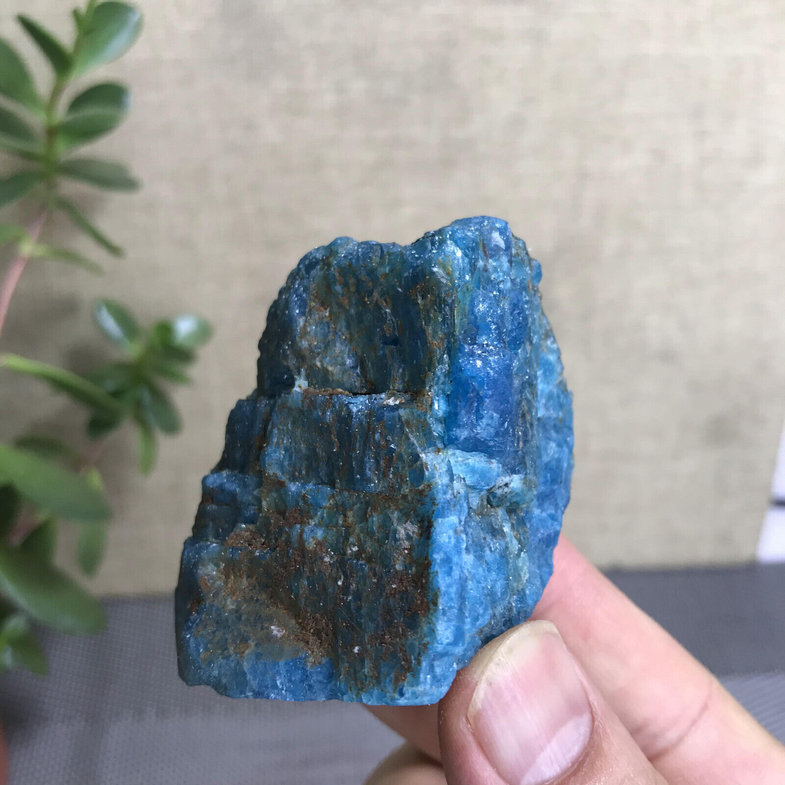 147g Top Natural Rough Blue apatite Stone original Crystal specimens 48mm A1156