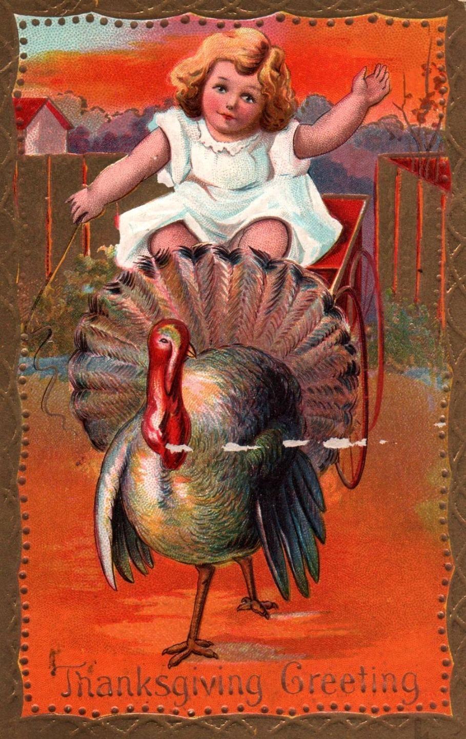TURKEY PULLS Lovely GIRL In CART On Colorful Vintage 1913 THANKSGIVING Postcard
