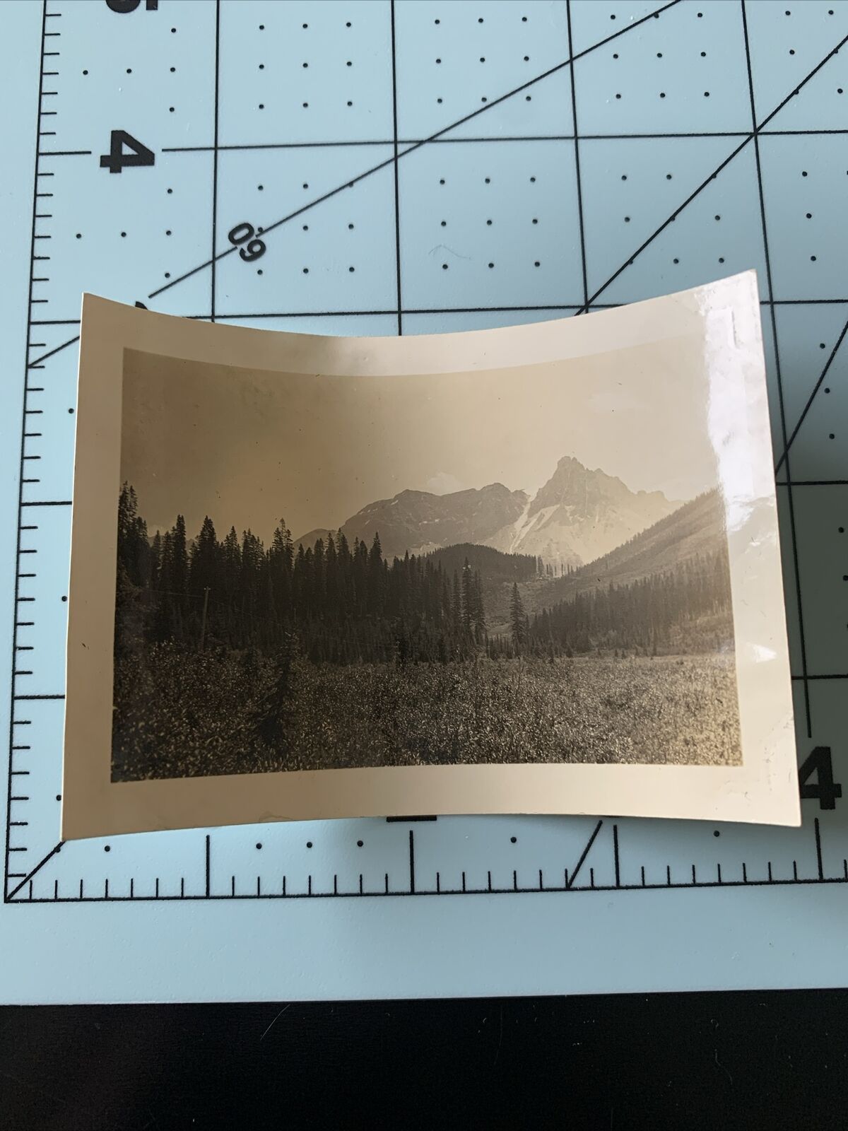 Vintage Found Black And White Photograph Banff National Park Yoho Valley