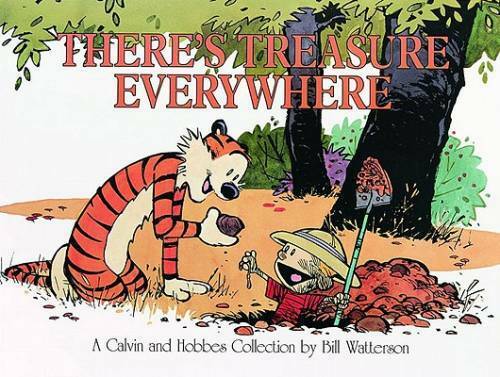 There's Treasure Everywhere--A Calvin and Hobbes Collection - Paperback - GOOD
