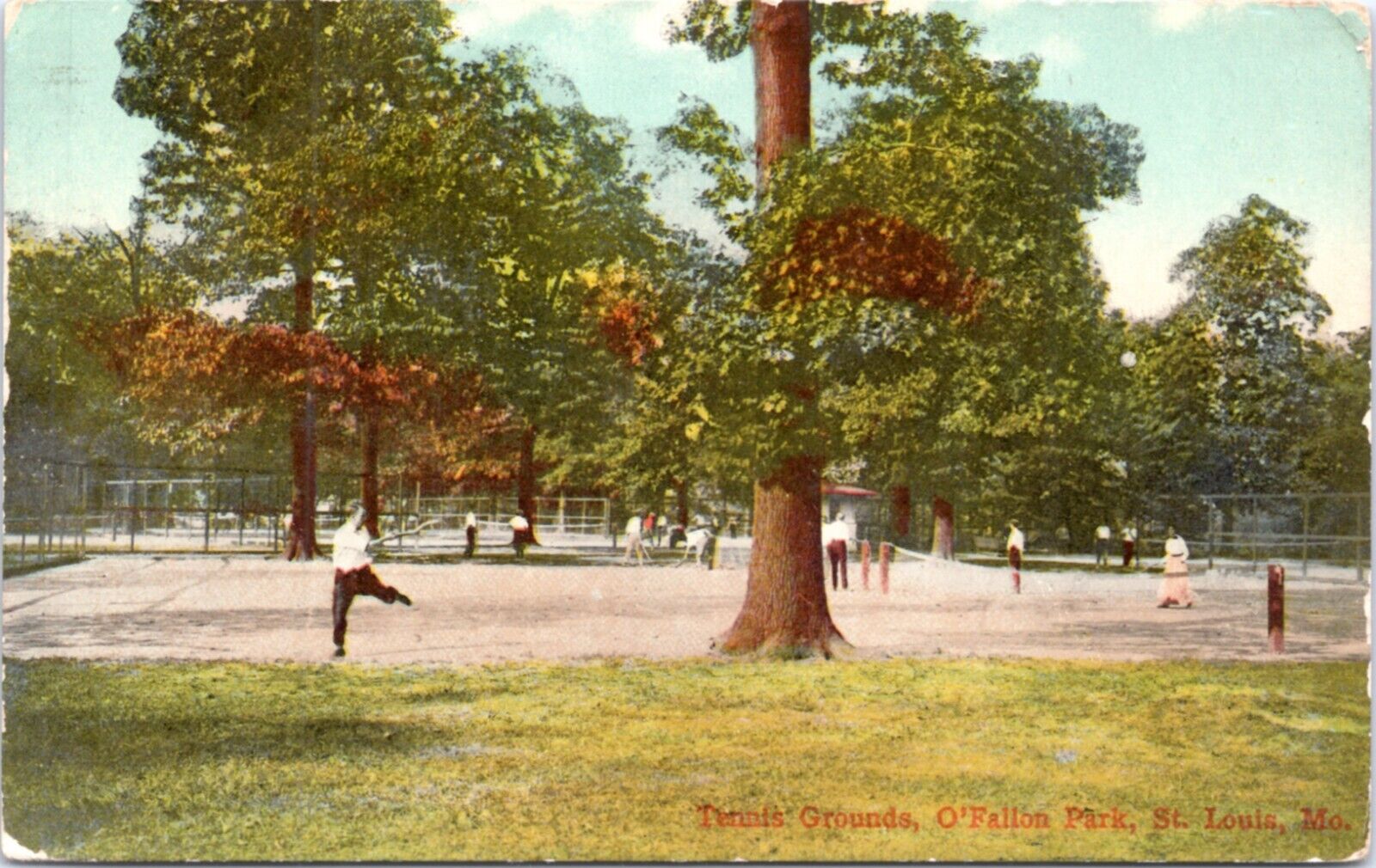 Postcard MO St. Louis - Picnic Grounds at O\'Fallon Park