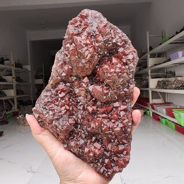 1170g Genuine rare Red Cap Auralite 23 raw cluster Quartz Mineral Specimen
