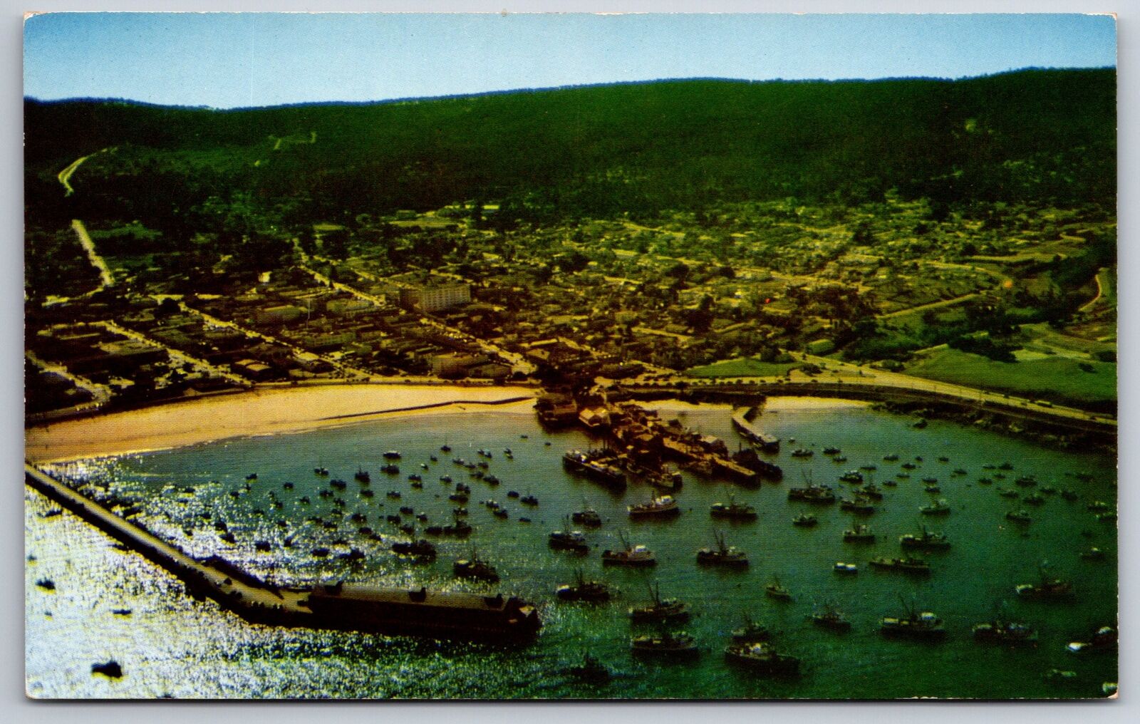 Monterey California~Downtown City Aerial View~Fishing Fleet~1960s Postcard