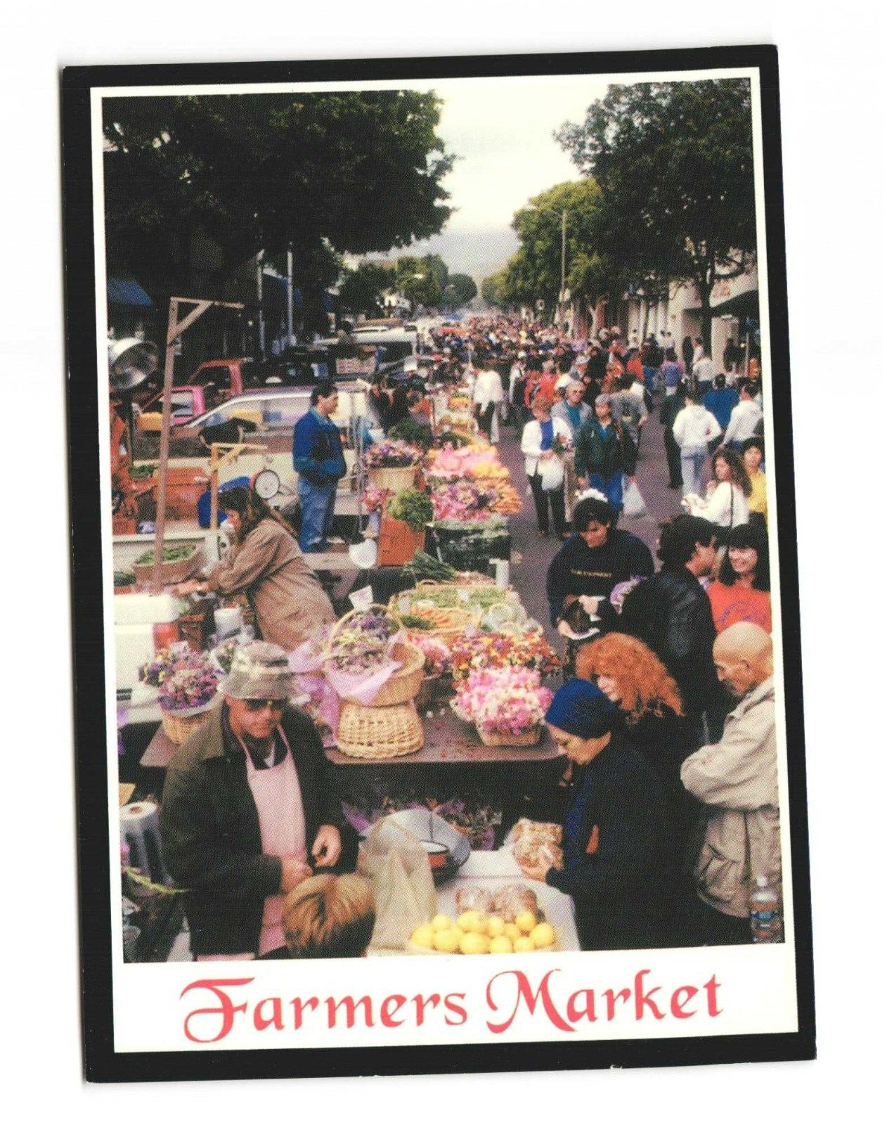 San Luis Obispo\'s Farmer\'s Market Postcard Unposted 4x6