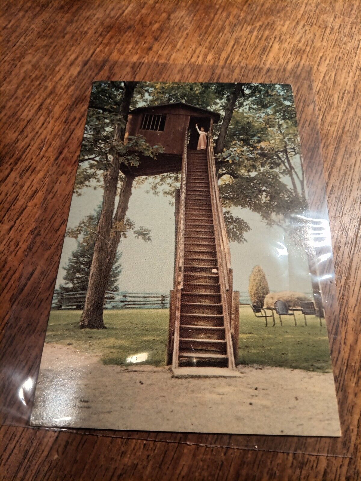 ARCOLA, IL Vintage Postcard Girl in Treehouse unmarked