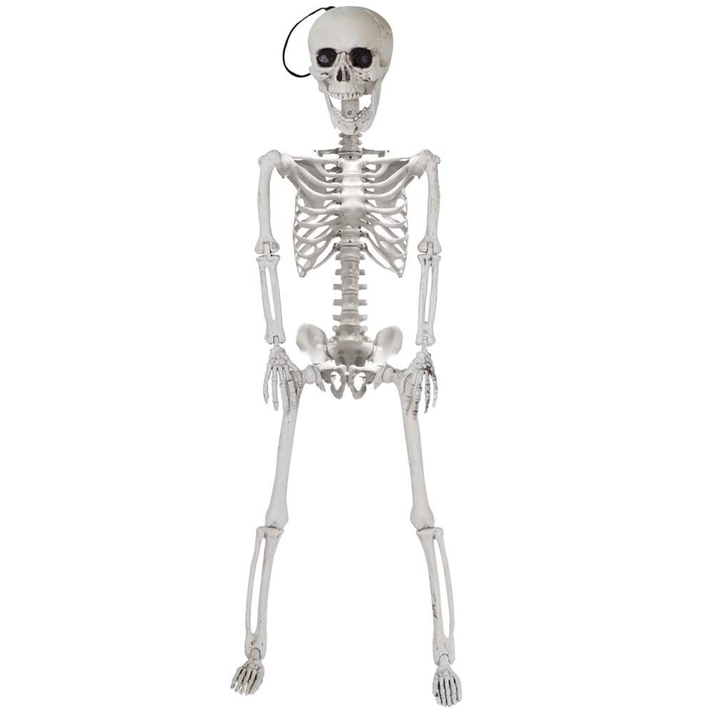 TWO 24” Halloween Decoration Pose-N-Stay Full Body Skeleton Plastic Bone