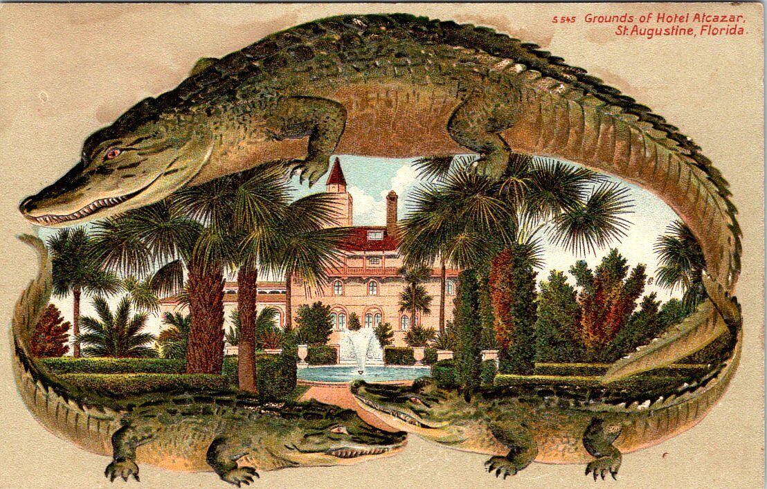 ALLIGATOR BORDER, Hotel Alcazar Grounds, ST. AUGUSTINE, Florida Postcard - S 545
