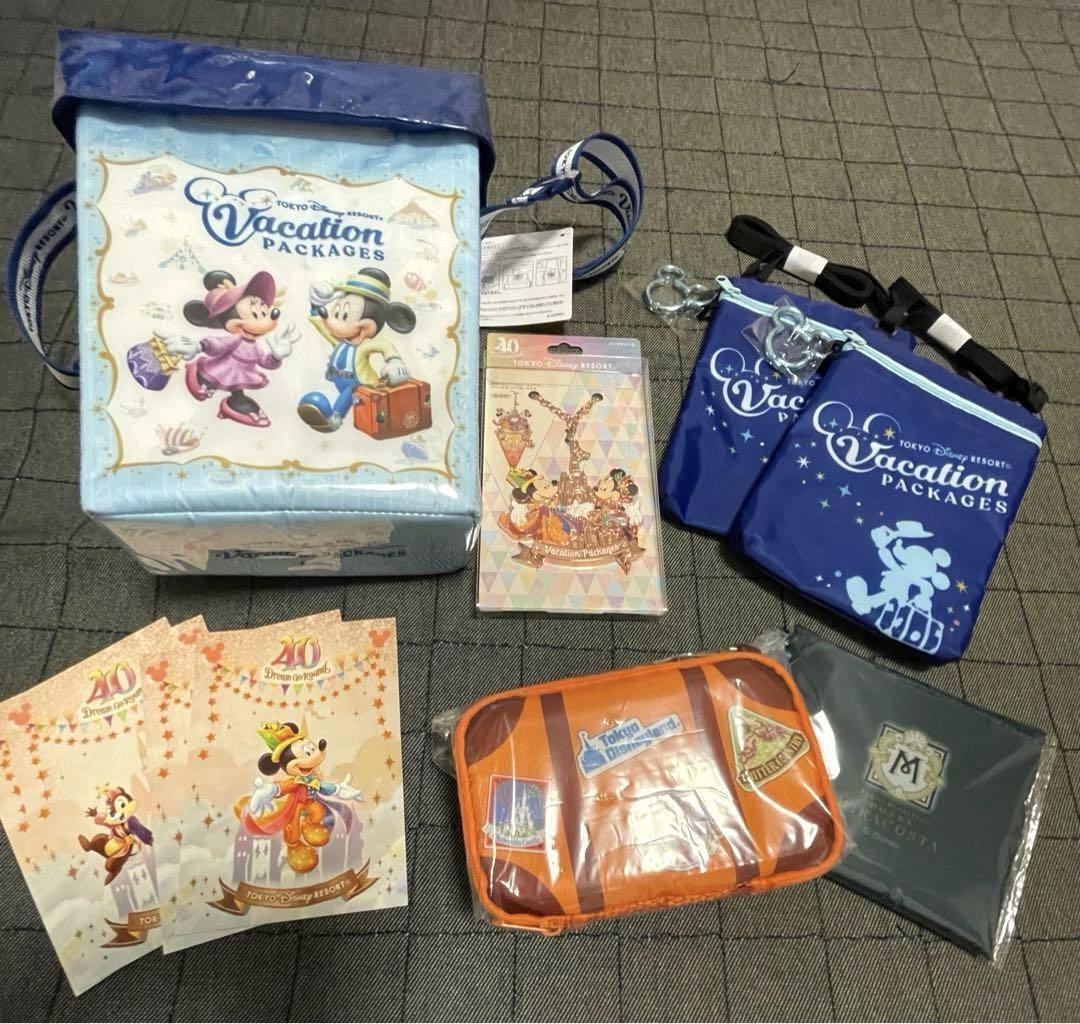 Disney Vacation Package Limited Edition 10 Items Bulk