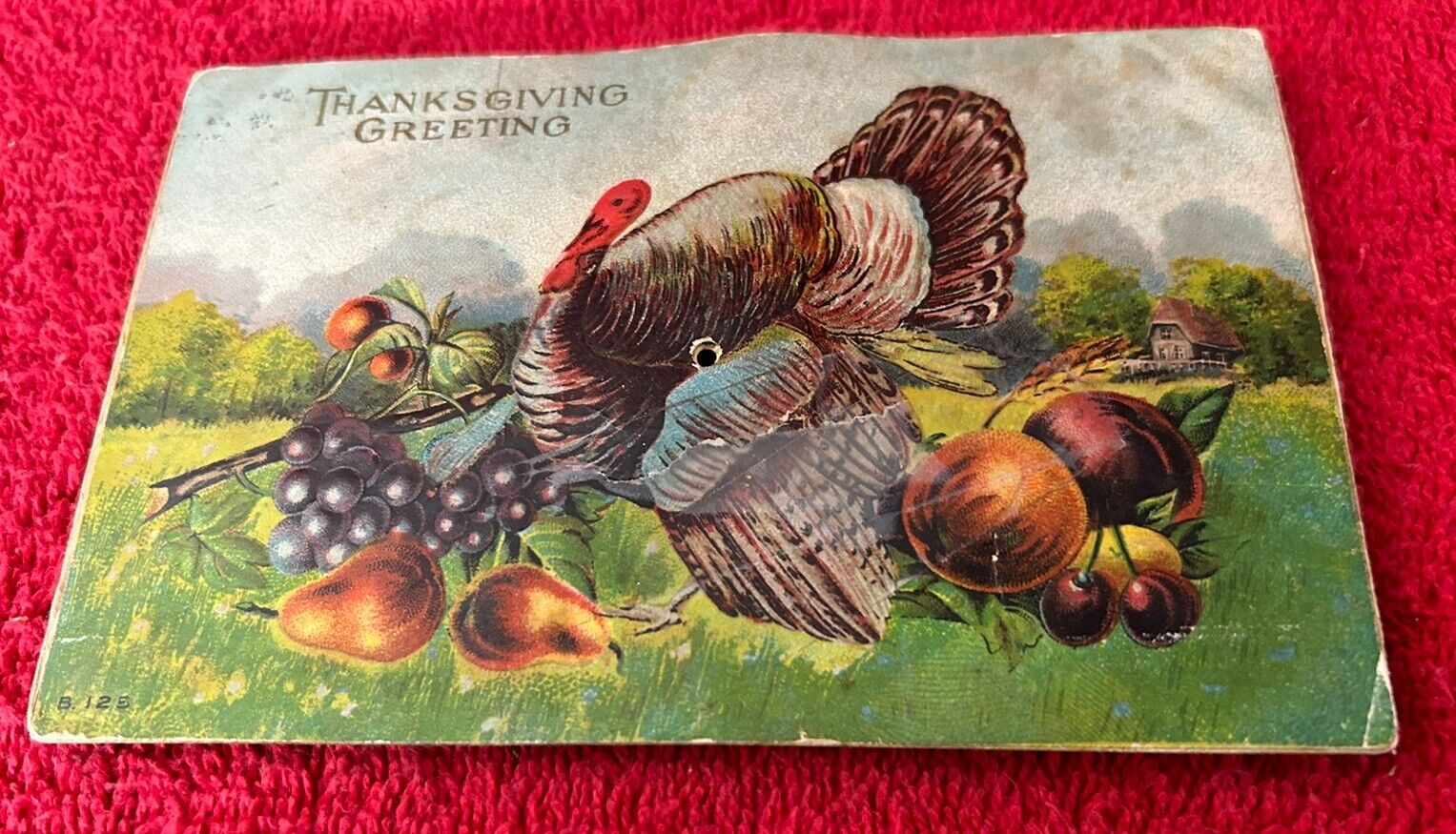 1913 Thanksgiving Greeting postcard Turkey squeeker works