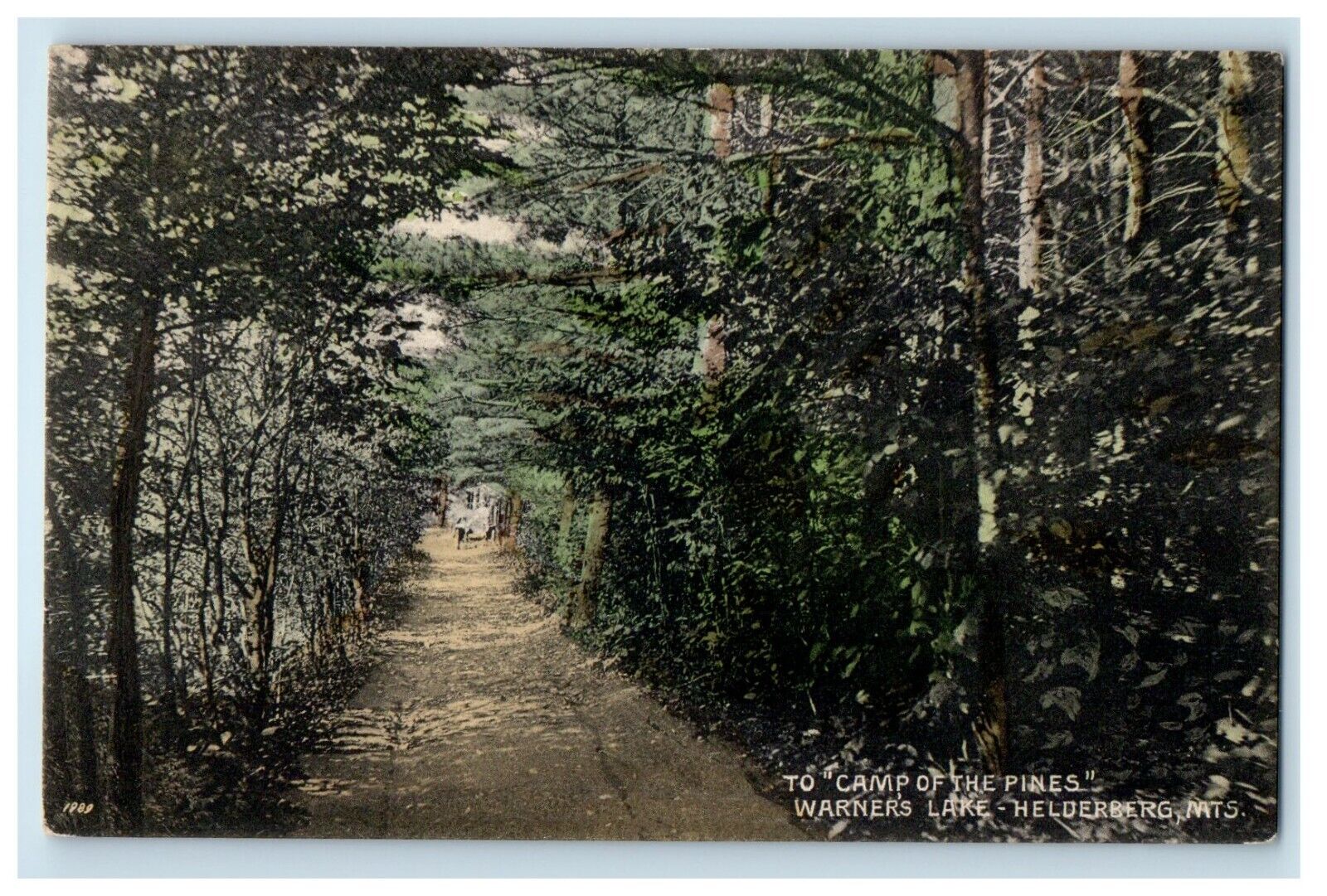 c1910\'s To Camp Of Pines Warners Lake Helderberg Mts. NY Unposted Postcard