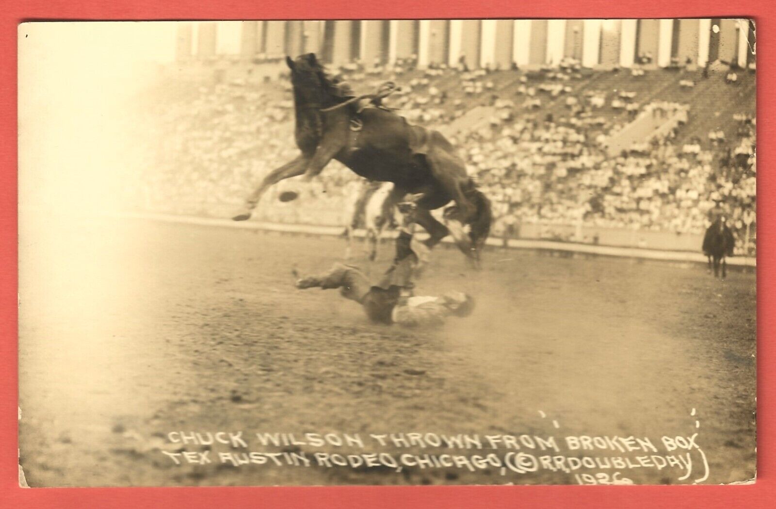 CHUCK WILSON thrown from BROKEN BOX - 1926 TEX AUSTIN RODEO, CHICAGO - Postcard