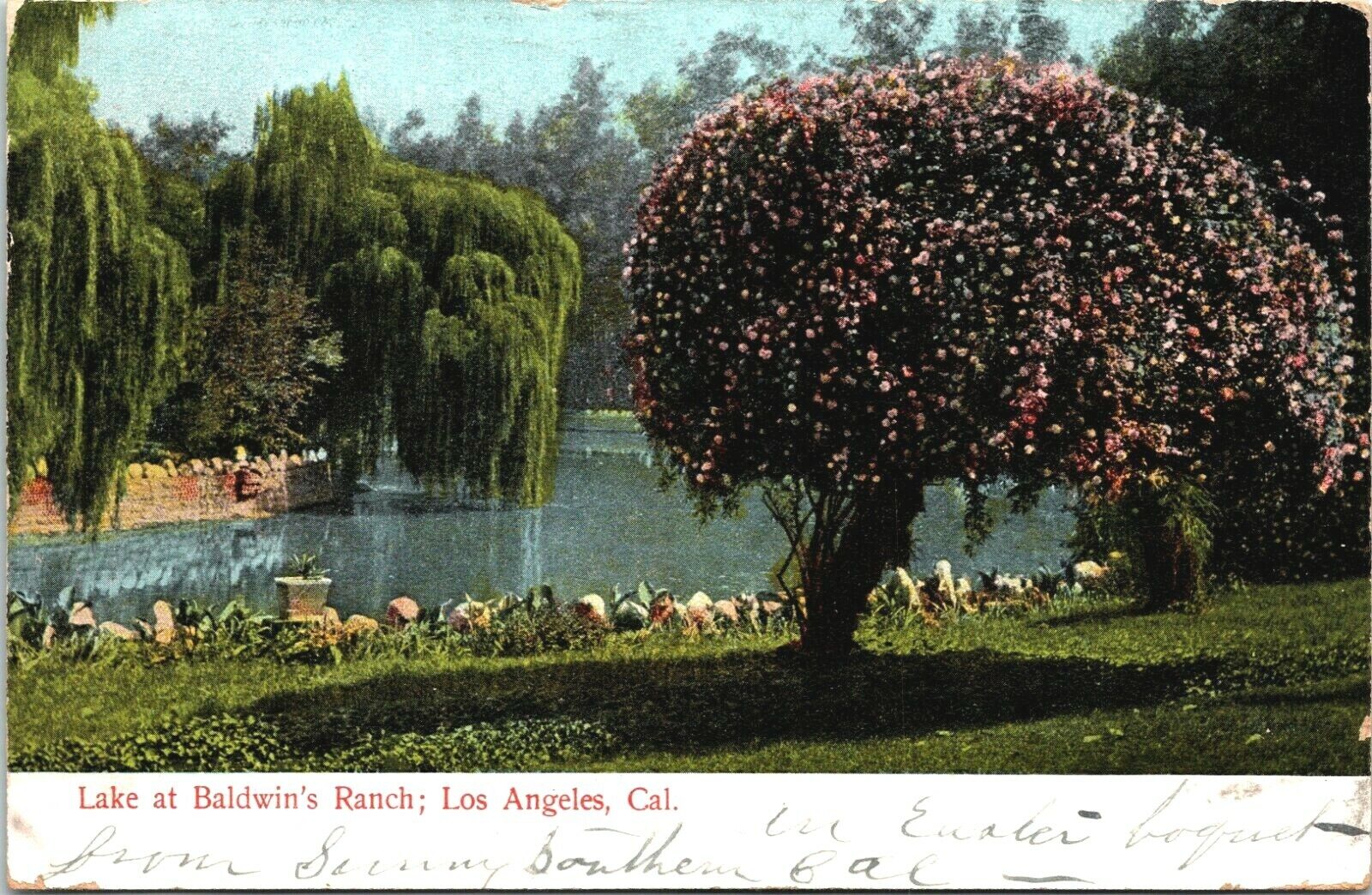 Error Postcard Baldwin\'s Ranch Santa Anita California marked Los Angeles  - A16 