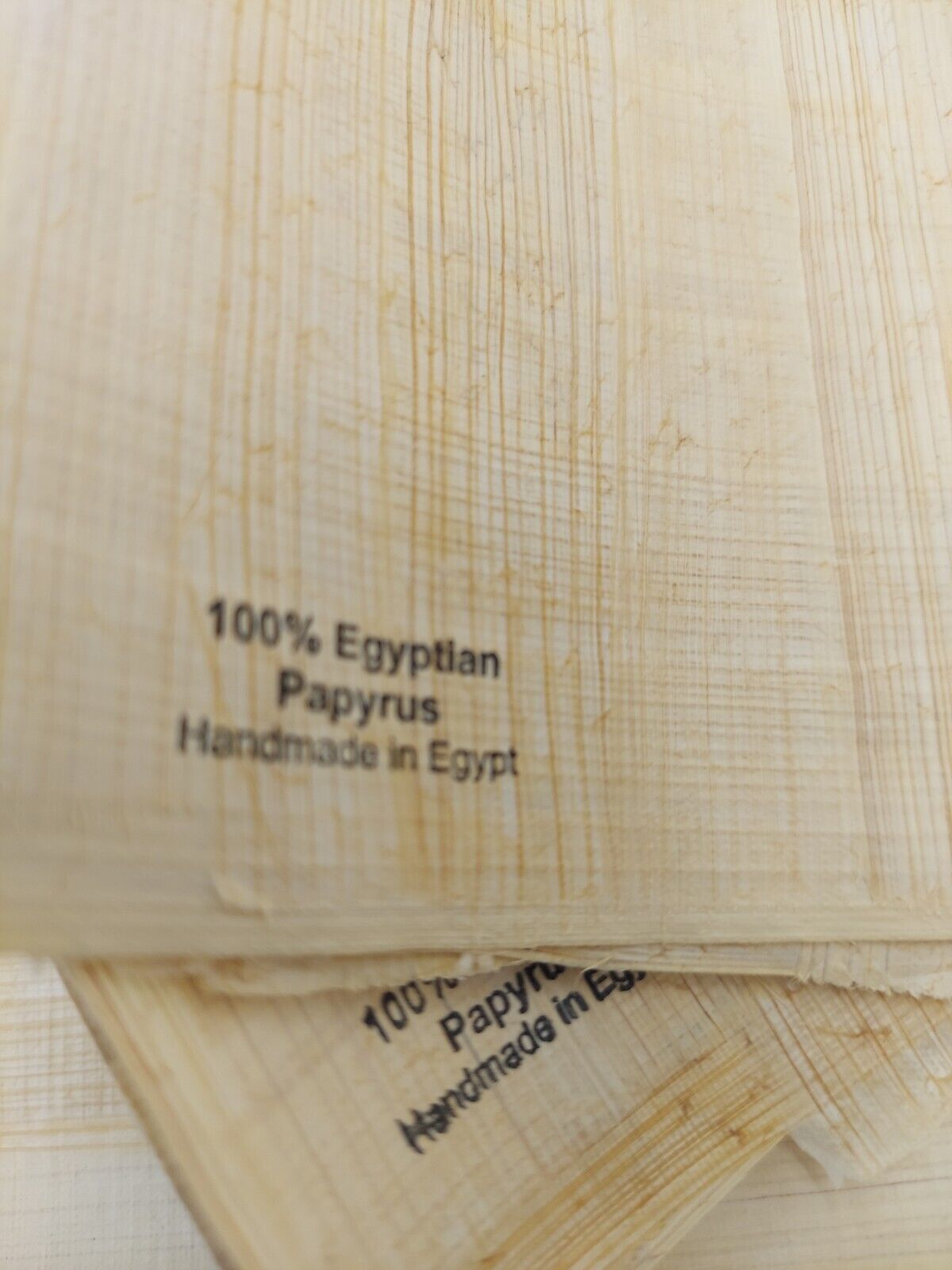 Wholesale lot of 20 plain Egyptian Papyrus