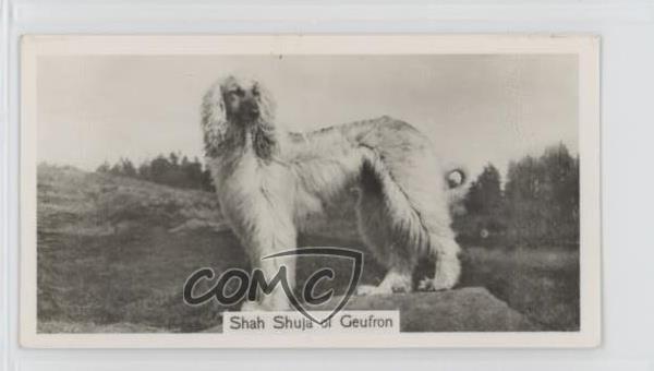 1938 Sinclair Champion Dogs Tobacco Small Afghan Hound #1 0a4f