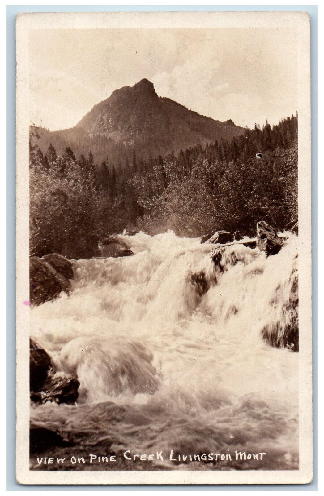 Livingston Montana MT Postcard View on Pine Creek c1920's RPPC Photo