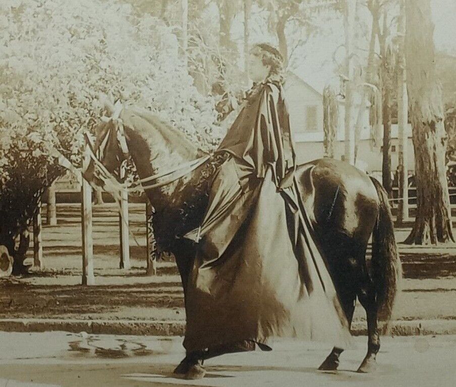 Majestic Black Horse Cape Woman Street Park Upright Fashion Profile RPPC c.1910s