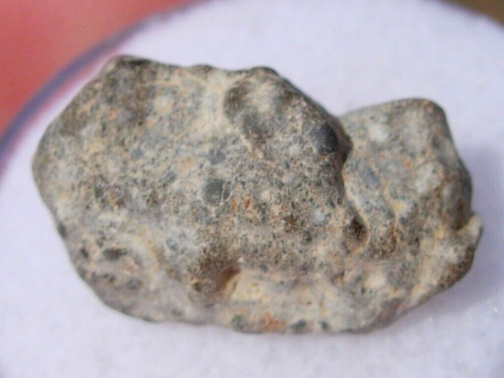 1.56 grams 16x9x7mm NWA 13974 Lunar as found Meteorite feldsp. breccia w/COA