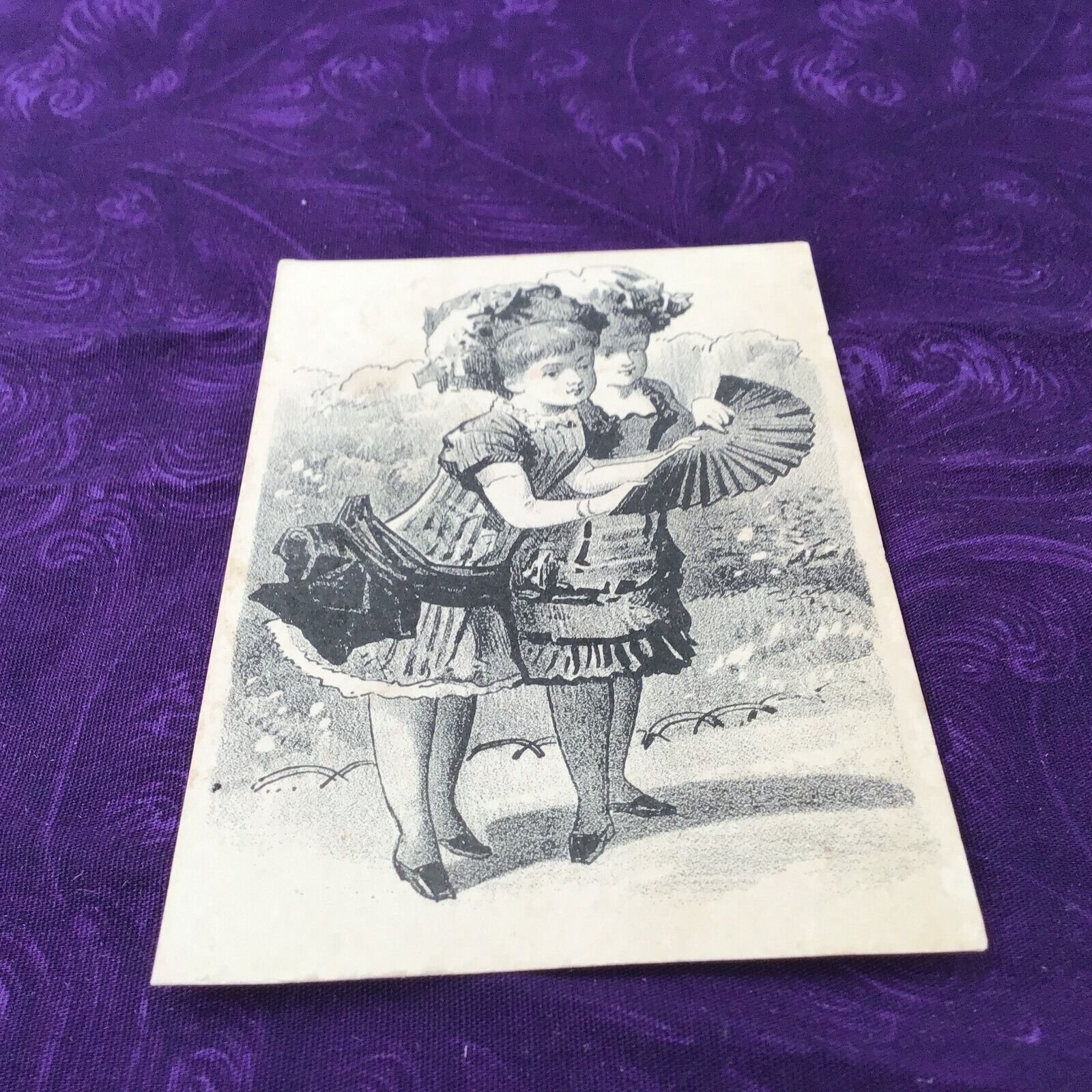 Victorian Trade Cards - Dr. Hartshorn\'s No. 18