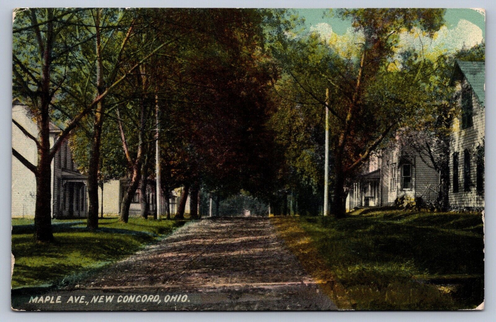 Postcard New Concord OH View on Maple Avenue 1923