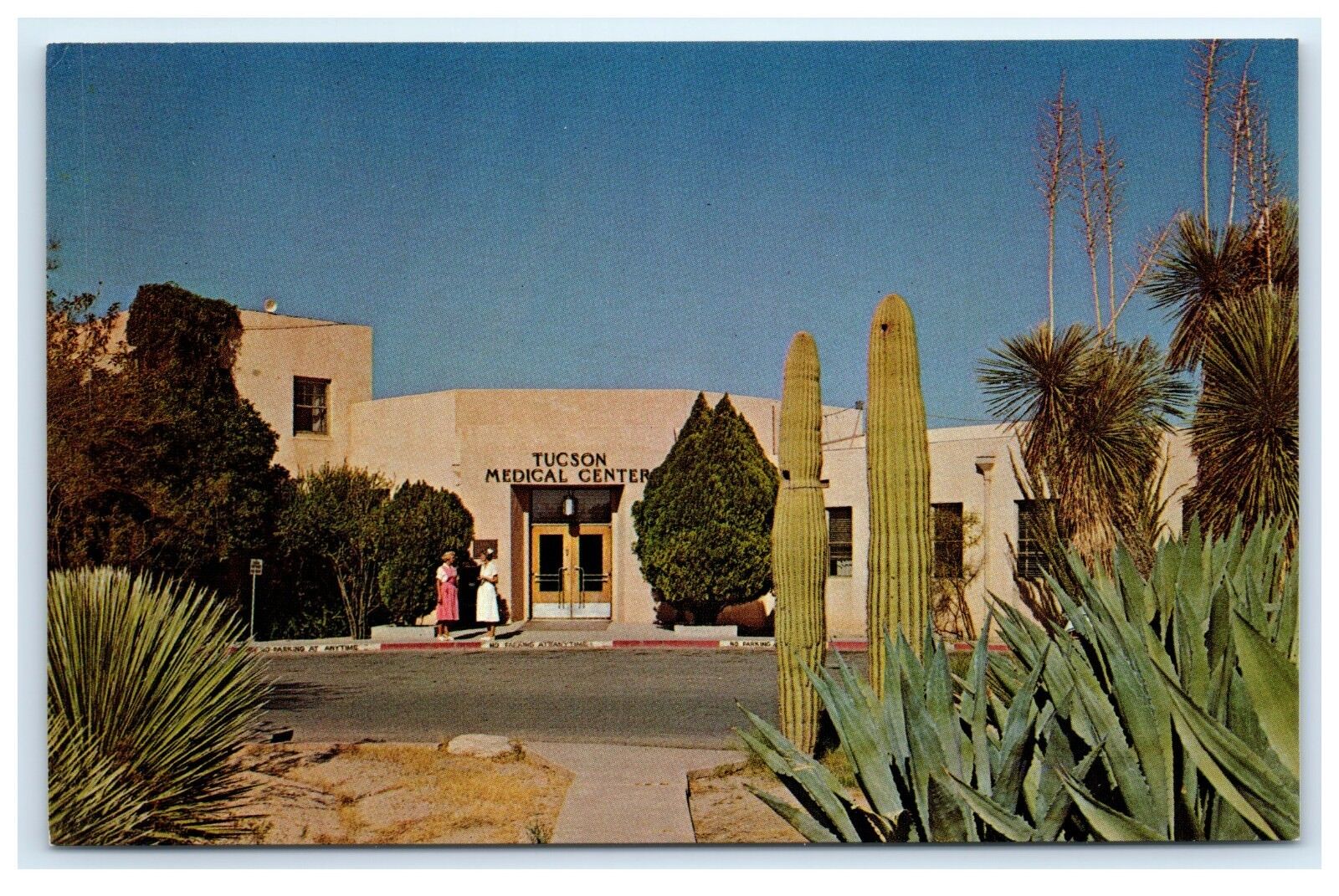 ENTRANCE OF ADMINISTRATION BUILDING OF TUCSON MEDICAL CENTER ARIZONA POSTCARD A4