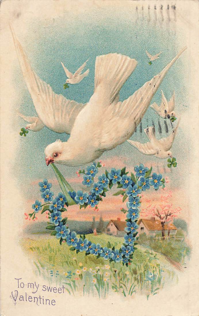 c1910 Doves Birds Forget Me Nots Heart Germany Valentines Day P465