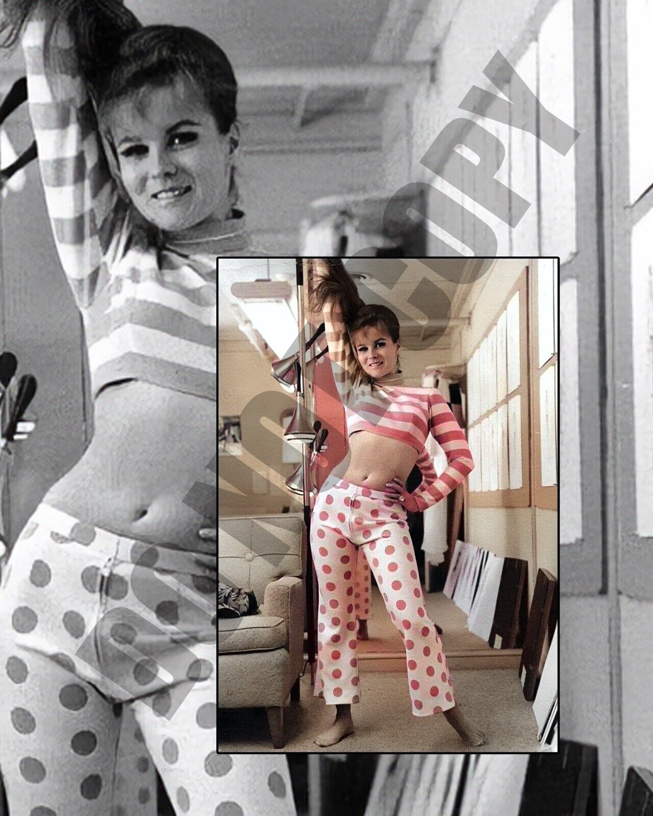 1960s Ann-Margret Polka Dots Stripes Collage Sexy Cheesecake Pin-Up 8x10 Photo