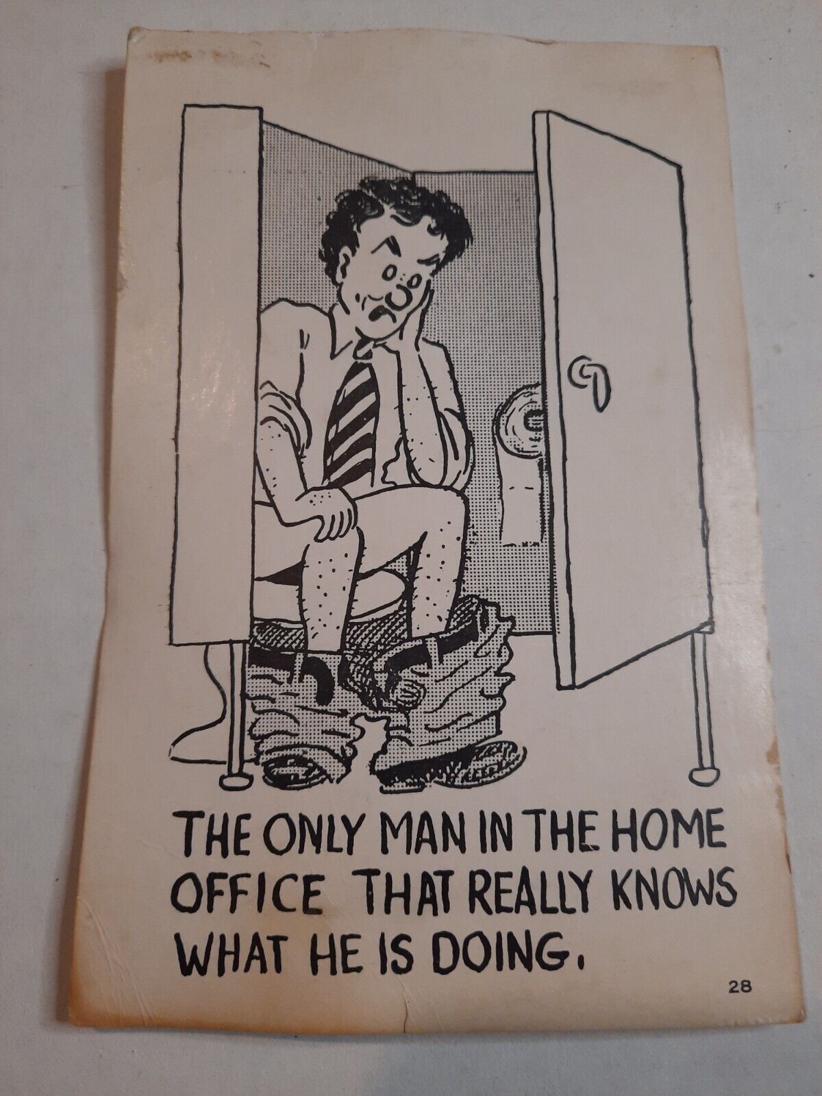 Vintage Postcard Bathroom Humor Blank Back