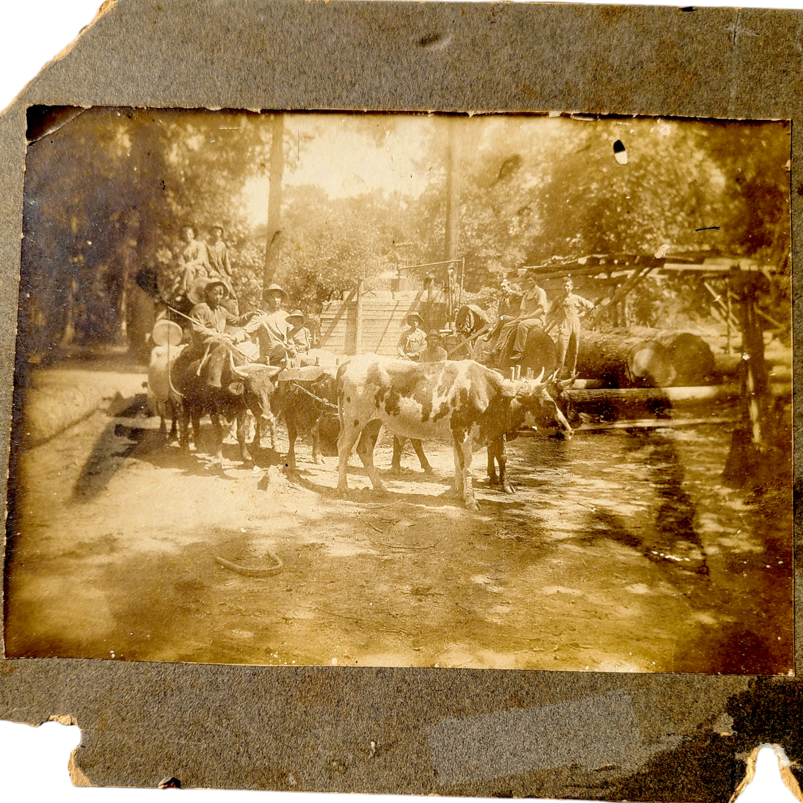 1890s Antique Occupational Photo LOGGING Men Working in Overalls  Washington