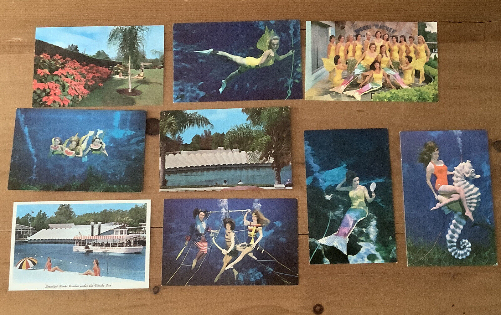 9 Vintage Postcard Weeki Wachee Florida Mermaids Swimming