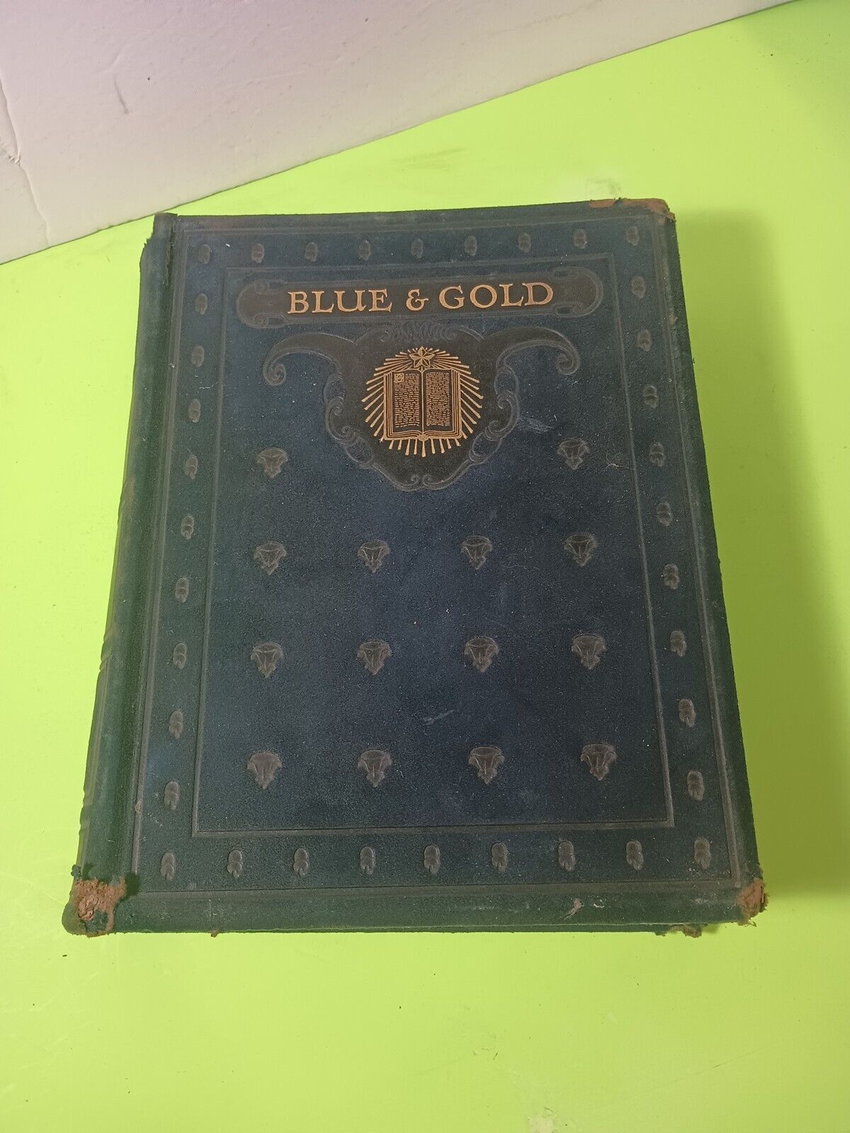 Antique UC Berkeley 1922 Yearbook - Blue And Gold - Vintage - Vol 48 