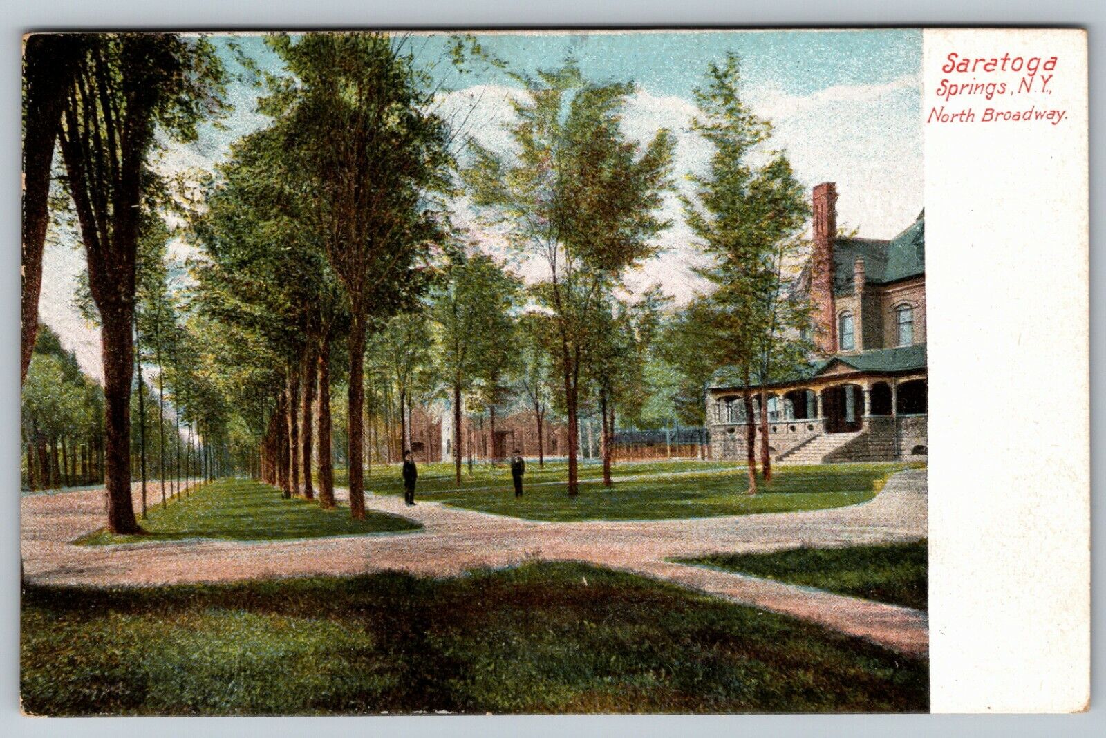 Saratoga Springs NY, North Broadway, Tree Line, New York c1910 Vintage Postcard