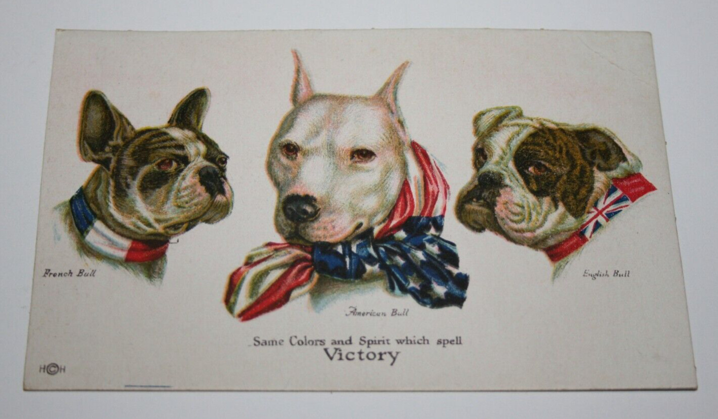 WWI Era Postcard w/French, American & English Bulldogs, unposted