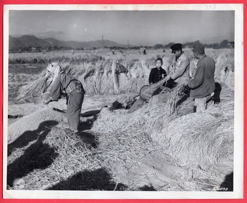 1945 Japanese Farmers Use Threshing Machine With Feet Wheat 8x10 Orig News Photo